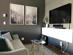 Smart TV, fireplace, video games, books