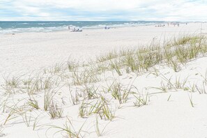 Ein Strand mit Dünen und vereinzelter Vegetation.