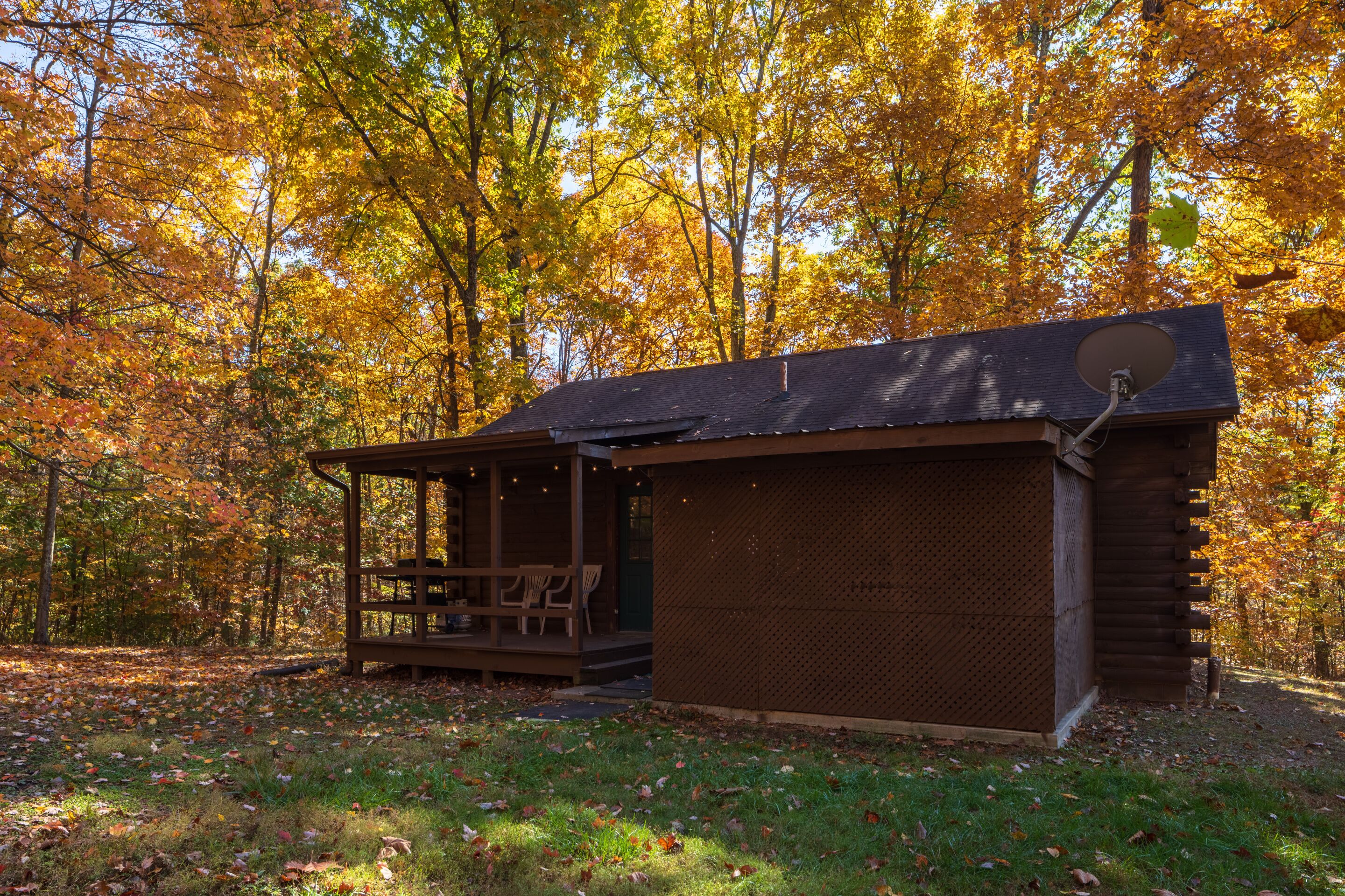 A rustic cabin with a porch and a covered seating area, surrounded by a forest with autumn foliage.