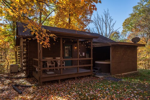 Blue Rose Cabins - Lincoln Log Cabin