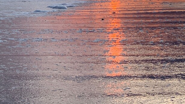 Uma praia com casas ao fundo durante o pôr do sol.