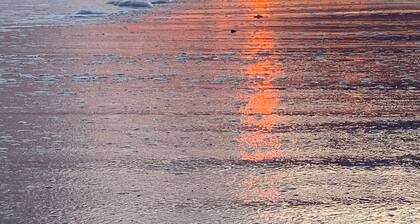 Dreamer's View - Oceanfront, 5 BD, 4 BA, Private Hot Tub, Community Pool