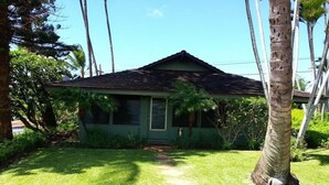 Uma casa pequena, térrea, com telhado escuro e revestimento verde, rodeada por vegetação exuberante e palmeiras.