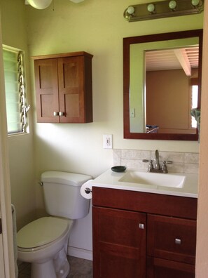 A bathroom with a toilet, a sink, and a mirror above the sink. - 'PONO PLANTATION COTTAGE' WINTER IN PARADISE-3 BEDROOM (Lahaina)