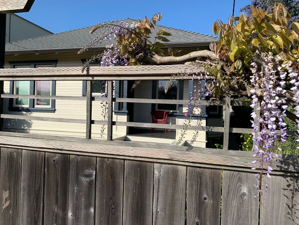 Exterior detail - Lavender House Cottages, Classic Elegance in a Country Cottage (Point Reyes Station)