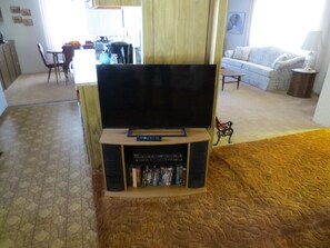 Smart TV, DVD player, books, video library