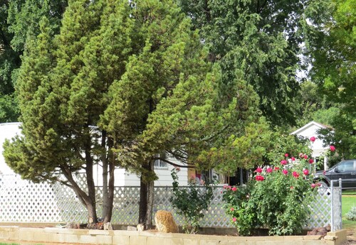 Comfortable family home on quiet street in center of magnificent parks!