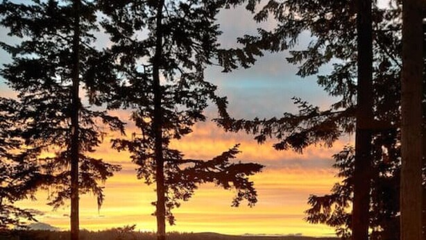 A wooden deck with a view of a lake and trees at sunset.