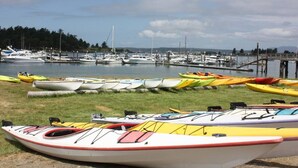 A marina with several kayaks and boats docked.