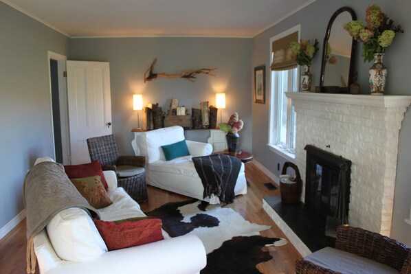 Télévision, cheminée, lecteur de DVD, livres