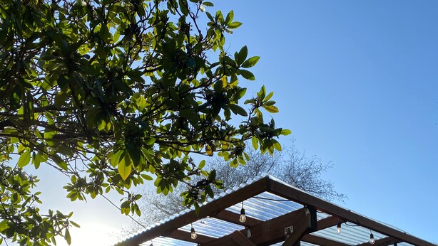 Un espacio cubierto con bancos de madera y una estructura de pérgola.