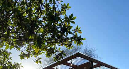 Hot Tub dog friendly 2 Blocks from Beach, fenced yard, Internet, quiet and clean