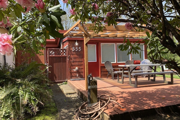 Covered patio