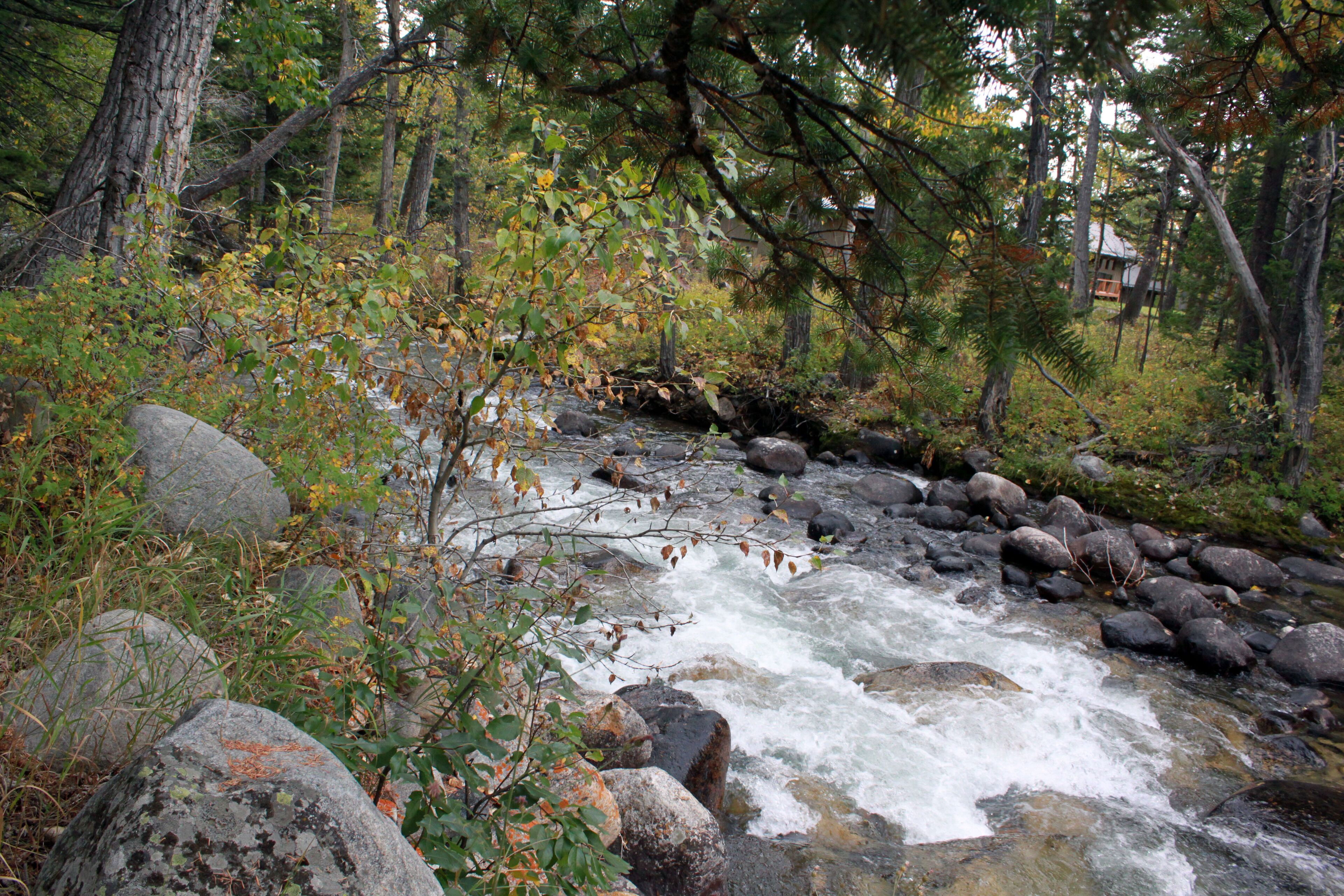 West Fork Rock Creek.