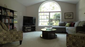 Smart TV, fireplace, Netflix, books