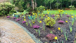 A garden with a paved walkway, various plants, and trees.