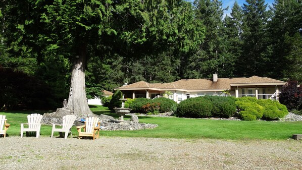 A house with a large lawn, a tree, and several Adirondack chairs.