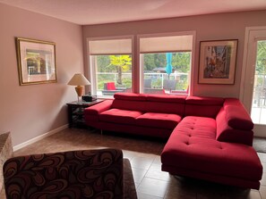 Smart TV, fireplace, Netflix, books