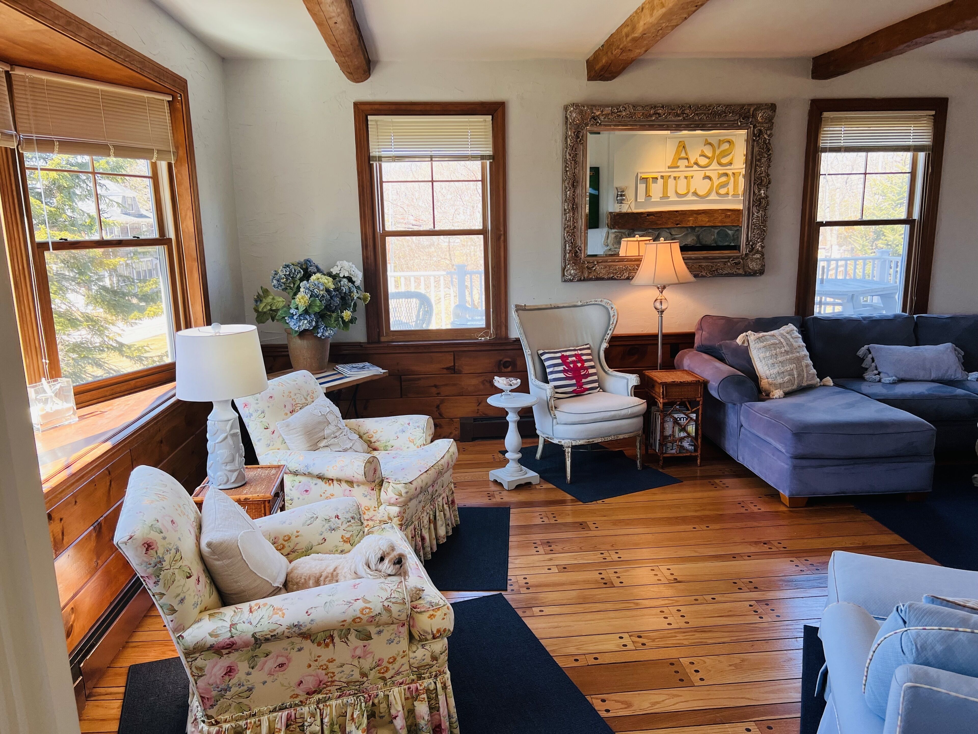 SeaBiscuit-Ocean Views, Fabulous Deck & Great Room, Walk to Beach, CHARMING!