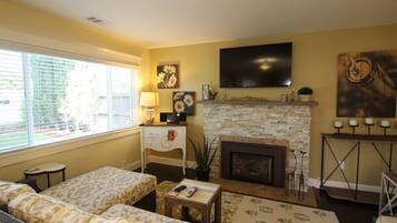 TV connectée, cheminée, lecteur de DVD, livres