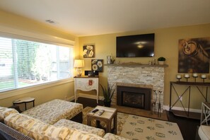 Smart TV, fireplace, DVD player, books