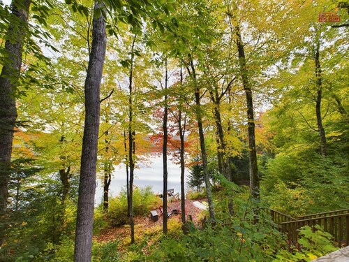 Lakefront, Near Trail, Kayaks Onsite, Fire-pit