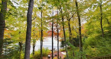 Lakefront, Near Trail, Kayaks Onsite, Fire-pit
