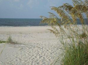 A beach with sand and sparse vegetation.