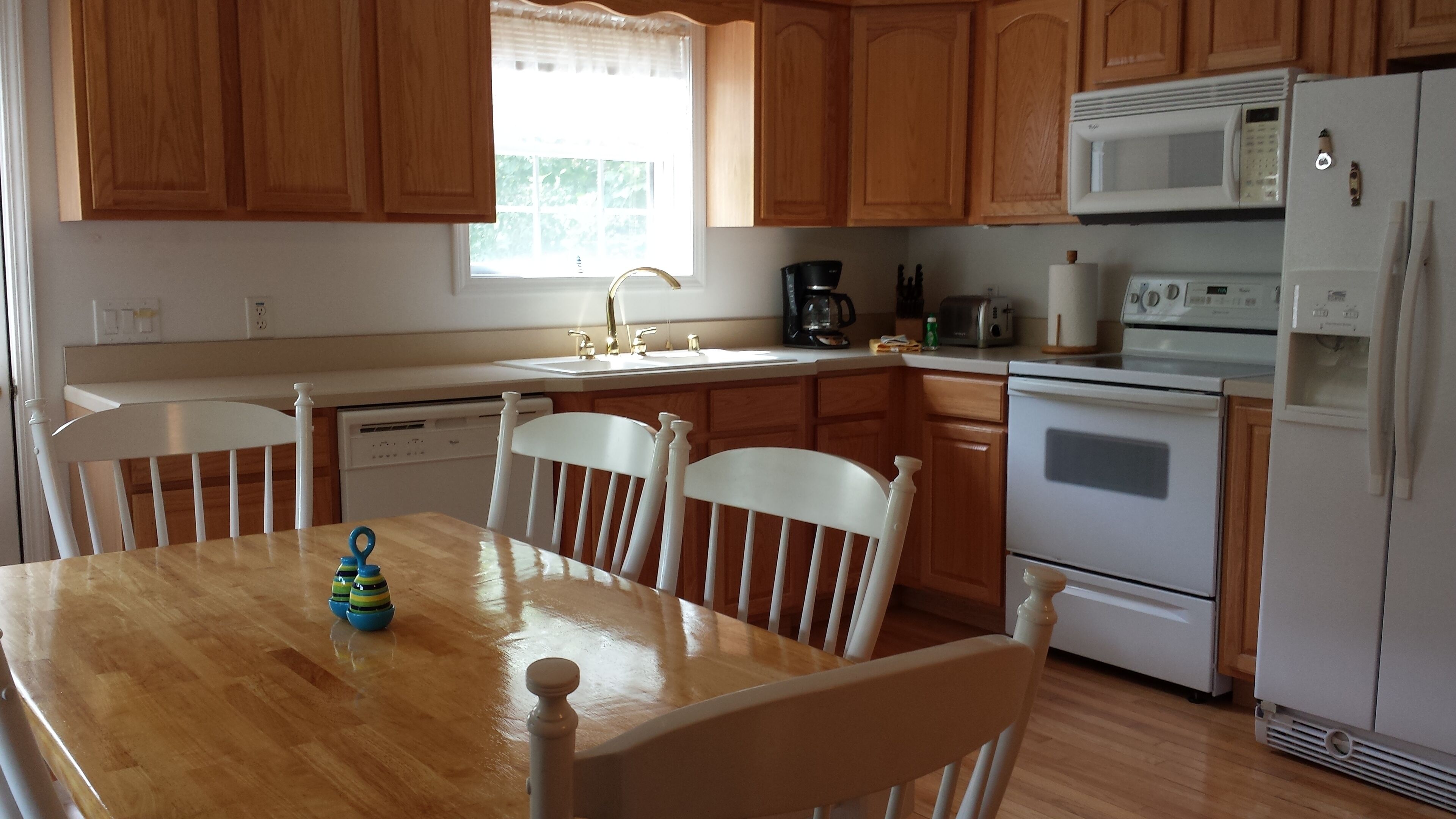 One of the most gentle slopes on Rough River Lake