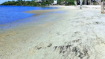 Plage à proximité, chaises longues, serviettes de plage