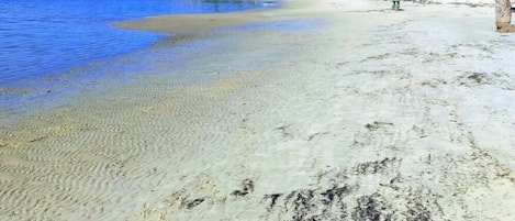 Beach nearby, sun loungers, beach towels