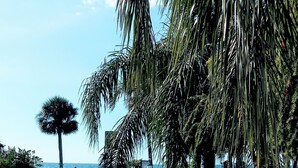 Une route côtière bordée de palmiers, un panneau indicateur et une vue sur la mer.