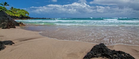 Playa en los alrededores, camastros y toallas de playa