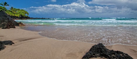 Playa en los alrededores, camastros y toallas de playa 