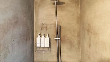 Shower, hair dryer, towels, shampoo