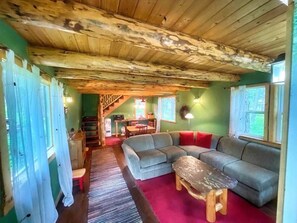 Smart TV, fireplace, table football, books