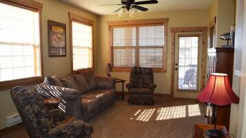 TV, DVD player, video library