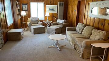 Smart TV, fireplace, video games, DVD player