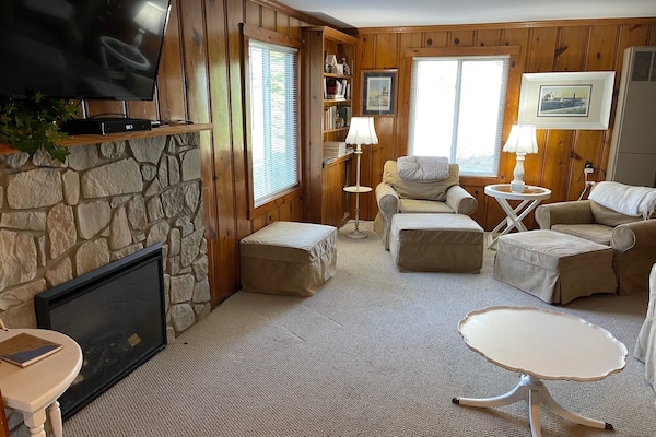 Smart TV, fireplace, video games, DVD player