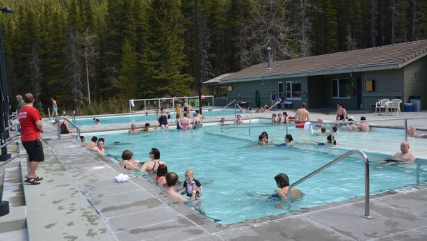 Une piscine publique dotée de plusieurs couloirs de nage, entourée d’une zone boisée.