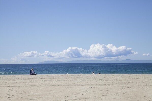 Camastros y toallas de playa