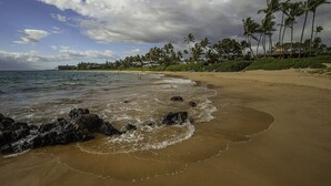 A beach with waves, palm trees, and a cloudy sky.