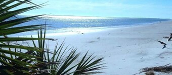 Blue Breeze Cottage-Oceanfront with Stunning Views