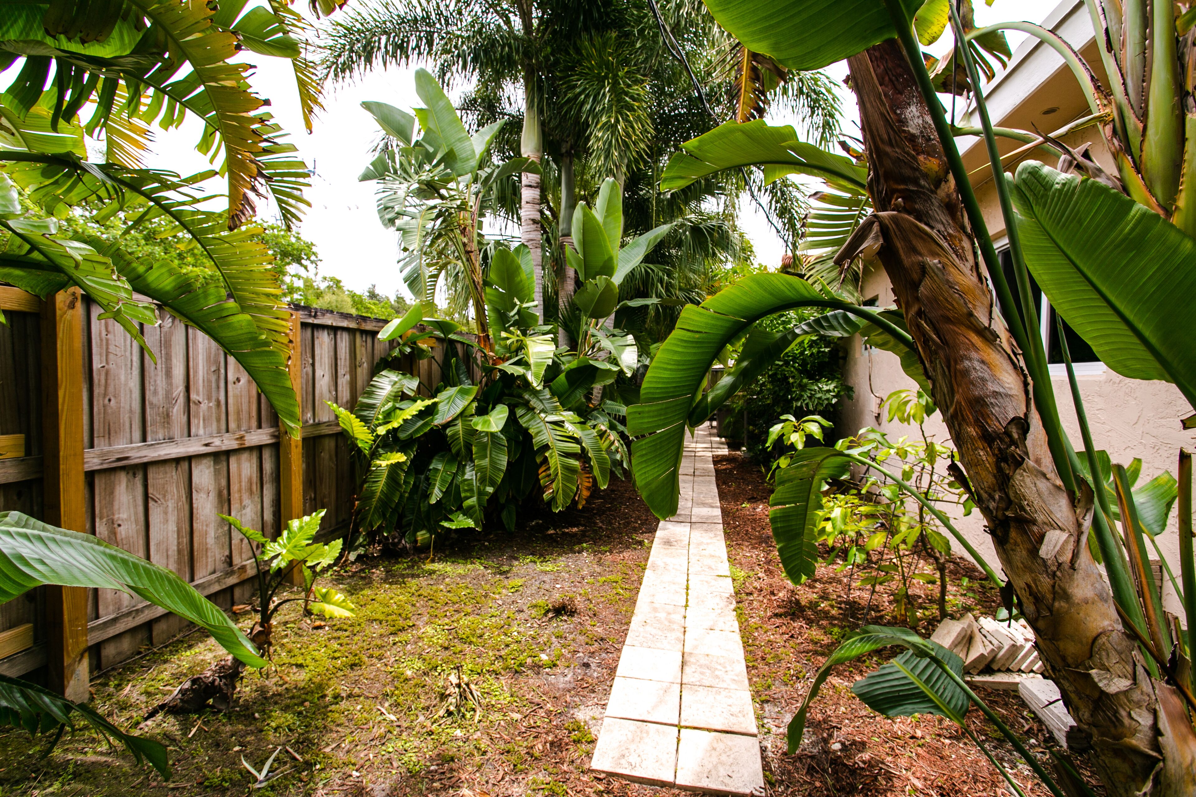 A garden with a wooden fence, a stone pathway, and various tropical plants.