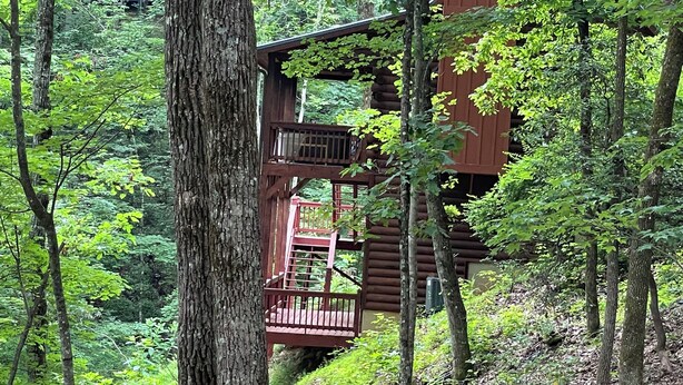 A wooden cabin with a balcony, surrounded by dense forest.