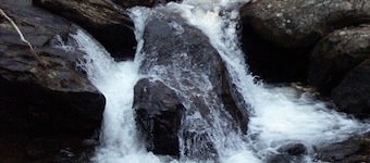 Alpenhaus Cabins Real Hirsitalo Helen Ga -vuoristossa