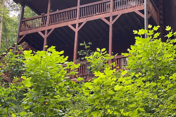 From the back of the cabin
