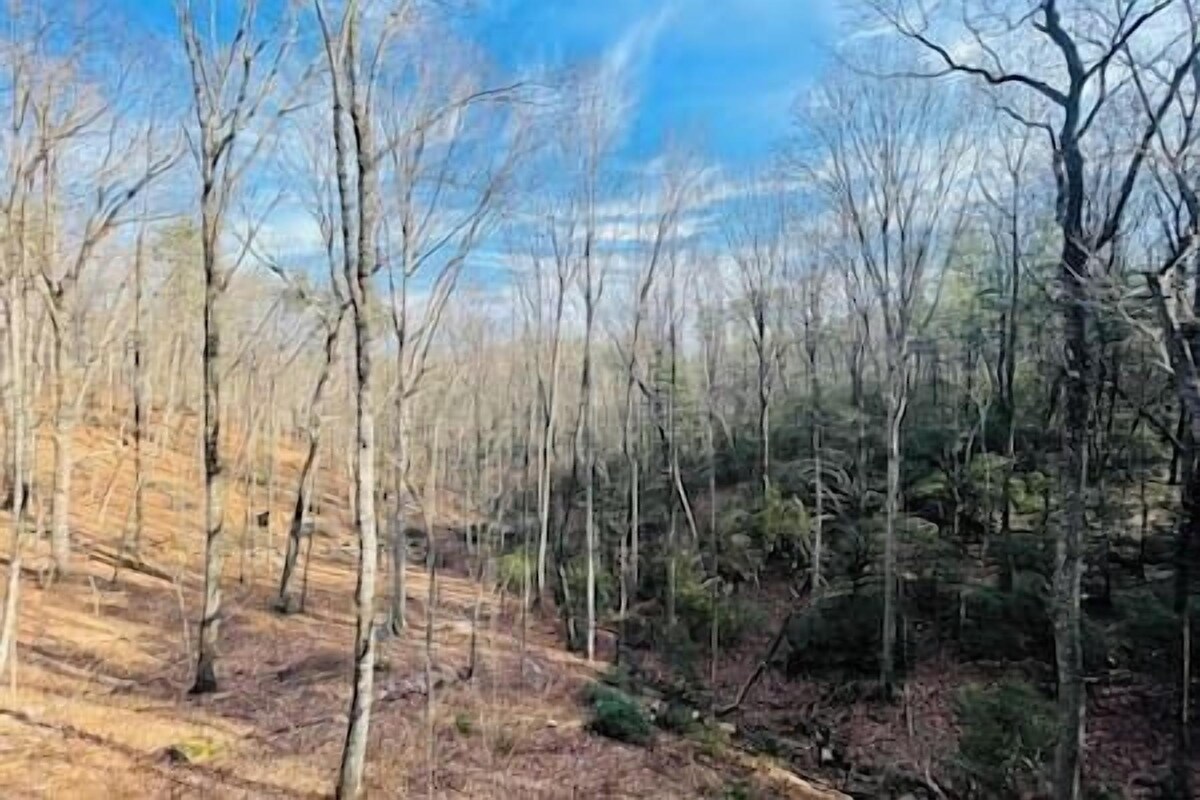 Imagen de perfil del propietario o de la propietaria