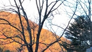 A stone house with a chimney, a stone foundation, and a small porch with chairs. - Stone Cottage is located in a beautiful mountain gorge (Gerton)