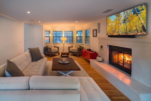 Smart TV, fireplace, books, music library